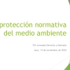 JOSE-MARIA-RIVES-La-proteccion-normativa-del-Medio-Natural.pdf